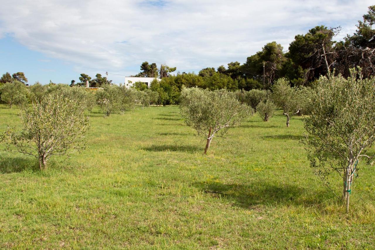 Villa Rosemary Park Zadar Exterior foto